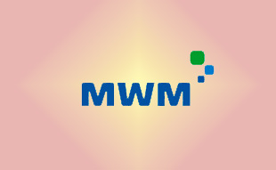 ✓ MWM 13020448 Фильтр топливный 